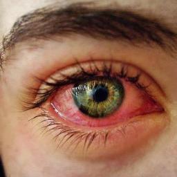 Vivo en Cogoyoacán, pero soy de MariGuanatos