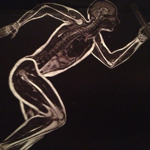 MeyerSportsPT's profile picture. 