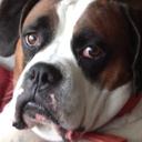 John Huffer - @boxerdogz3 - Twitter