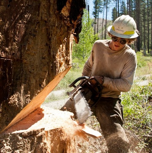 hecmtrainee's profile picture. 