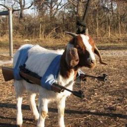 mnbail34's profile picture. 