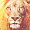 My other account in case I hit tweetlimit or get suspended: @free_jtsar