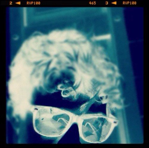 GreatGammbino's profile picture. Lover of coffee, chewy lemon heads, and anything that produces a musical note.