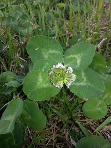 minyeo1221's profile picture. 후회없는 삶 이시기를~~~