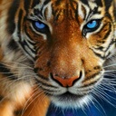 Chris Holston - @chris_holston79 - Twitter