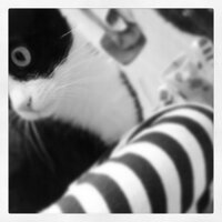 El vagabundo 👁 (@yelvagabundo) 's Twitter Profile Photo