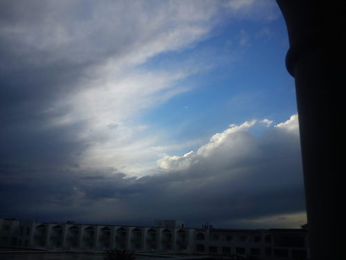 driver6005's profile picture. full time steering wheel attendant