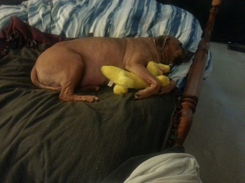 twobaptisms's profile picture. 