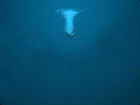 lost in a place that is formally known as my mind