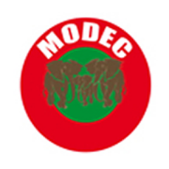 MODECMALI's profile picture. 