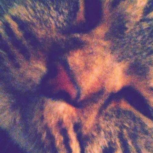 katheri11294598's profile picture. Im on youtube check out my videos x http://t.co/69xr0mjvHr