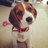 jolene1's profile image