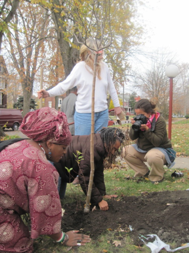 Equitable Food & AG Policy Fellow, Washington D.C. & Detroit, MI. Working on repairing food system to more local/regional, fresh, sustainable, fair, & healthy.