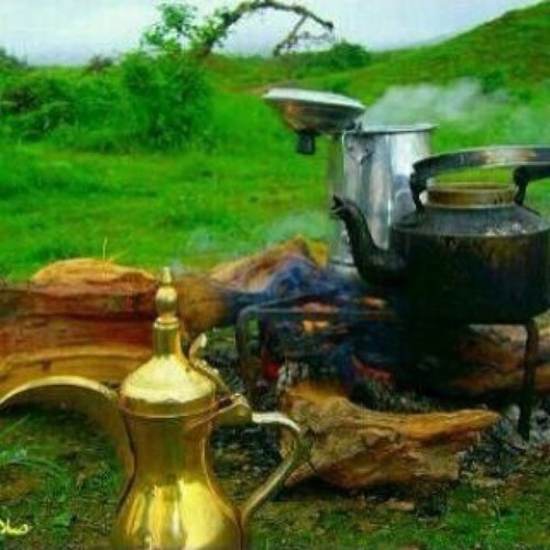 تعبت من ممشي علي غير مشهاي
وتعبت من صبر علي غير غايه