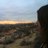 susan_elnora's profile image