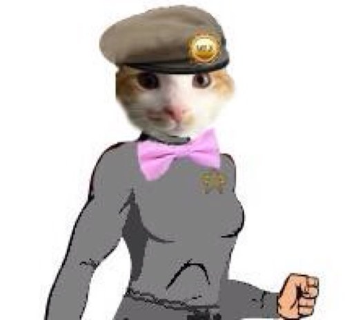 sugar_plum_cat's profile picture. I love to snuggle and chase that red dot all over! I love my Mommy and my new sisfur Flower! Proud member #wlf and #pawfleet Cadet.
