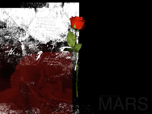 PinnyChaviv's profile picture. complex