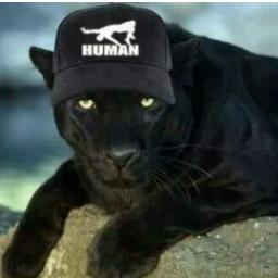 krkic19's profile picture. 