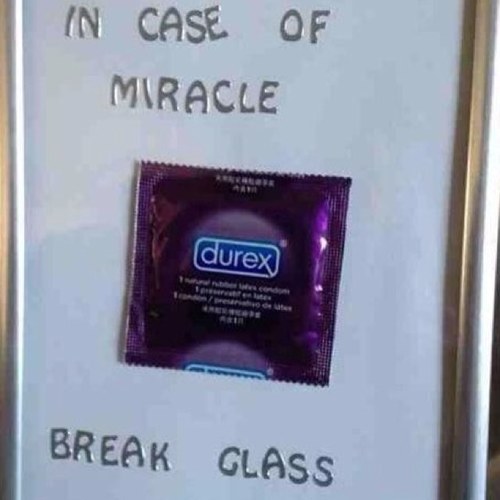 CK081294's profile picture. Karma will forever be on my side after all this bullshit over the last 18 and a half years