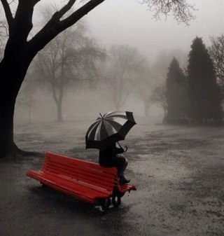 InARainyDaze's profile picture. I dreamed of indigo skies, But they were a lie ~Rain clouds, storms and poetry~ Photos and words are mine, unless otherwise noted ☔️