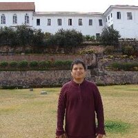 Elvis Amao Ruiz (@elvisjar) 's Twitter Profile