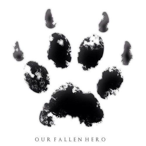 Official Street Team for Brighton Rock band Our Fallen Hero. Listen to the band: http://t.co/q1Lb5Qi4Lz