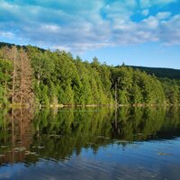 Chris Longenecker (@clongen82) 's Twitter Profile