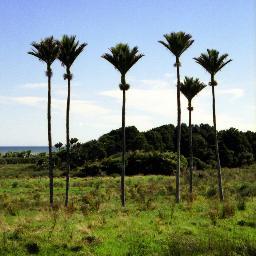 huttkid's profile picture. More of a listener