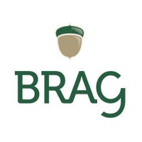 Brag Capital, LLC(@BragCapital) 's Twitter Profileg