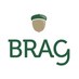 Brag Capital, LLC (@BragCapital) Twitter profile photo