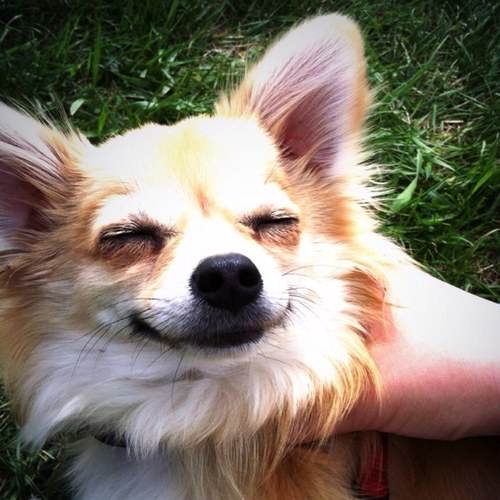 Be Happy