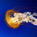 Perry Li - @555666777perry - Twitter