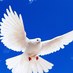 brahim hammadi (@brahim7382) Twitter profile photo