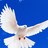 brahim7382's profile image