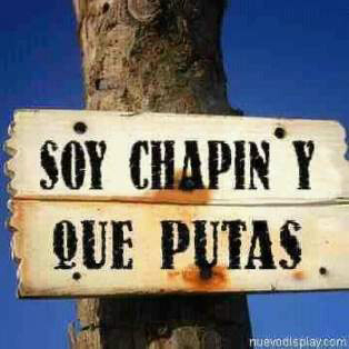 Dando RT. FollowBack Ganando Followers  BBM mi  pin25D52CAF