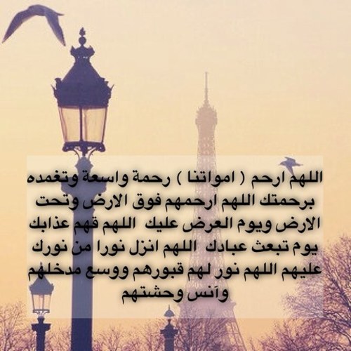 مجموعه أدعيه وأذكار وأحاديث .. عسى الله أن ينفعنا بها جميعاً ♥ اللهم اجعله في ميزان حسنات من ساهم ب نشر هذا الحساب…