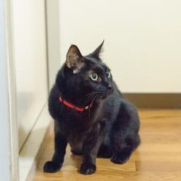 極端なことを延々読んで書いてるけどずっとずっと手前で脳内を外に出すメモとか備忘とかで本人はそこまでは攻撃的でないから大丈夫よ偏向はしてるけど