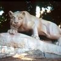 Penn State North NJ (@psunnj) 's Twitter Profile