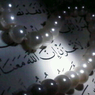 mmm2033441's profile picture. 