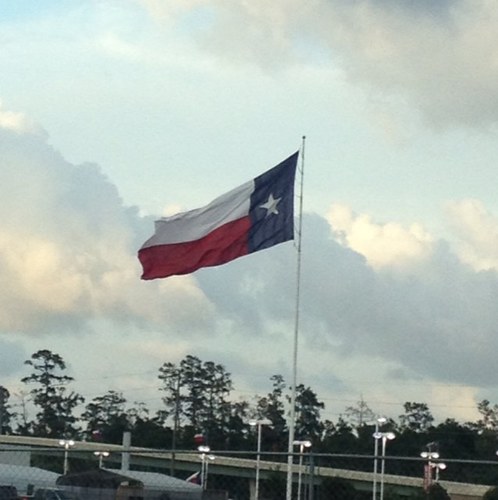 lil_dipper11's profile picture. 