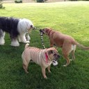 Julia Geiger - @shortay2012 - Twitter