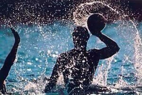 The Original Shit Water polo players say...what do u say? 
I like to party and play some water polo