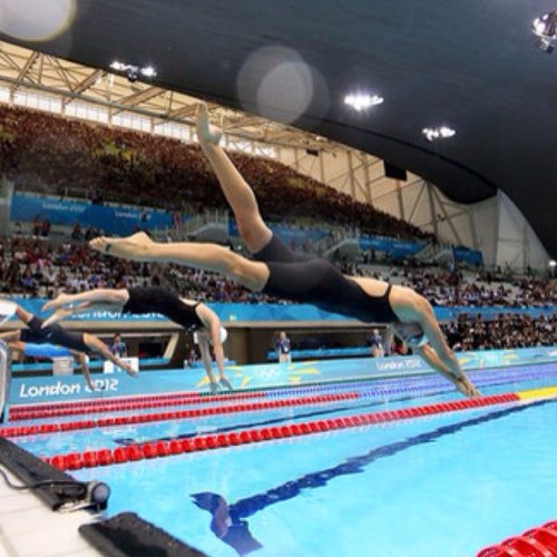 Swimming, swimming in my swimming pool (y) Follow me my fellow fishies!