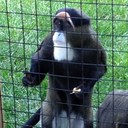 Curtis Wells - @Curt_wells - Twitter