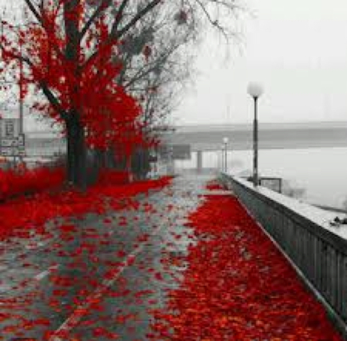 ro7ite7ibak's profile picture. ‏‏• ۙ سبَحآنْ الله وَبحَمدٌهْ .. سبَحآنْ الله الَعّظيِمْ ♡