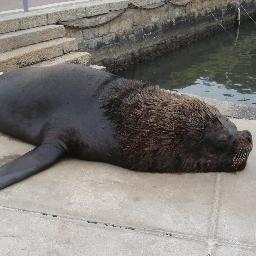 lioprimerano's profile picture. Contador Público. Fanático de las estadísticas de fútbol.