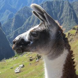 Occasional dabbler in many things. My opinions are my own. You can find me elsewhere now. Just check my name.

Mastodon: @jarrodfrates@infosec.exchange