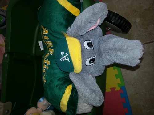 ddonham85's profile picture. 