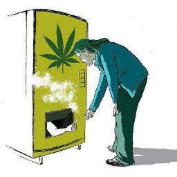 ARE YOU ON POT???