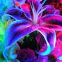 Savannah Ely - @Savannah_Ely - Twitter